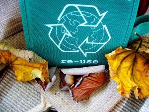 eco bag