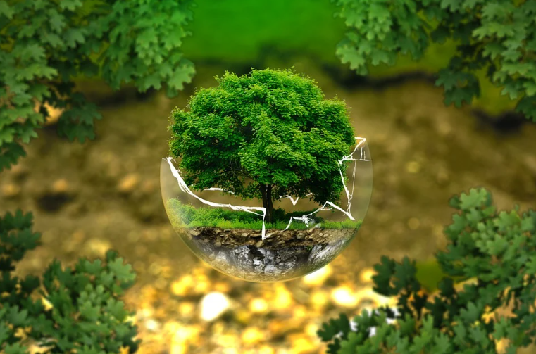eco